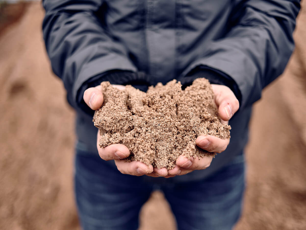 Песчаный грунт в руках мужчины